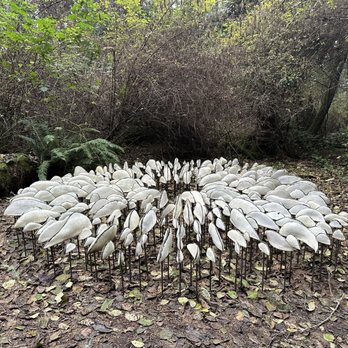 Price Sculpture Forest - Parks Near Me - Coupeville, Washington Price Sculpture Forest - Parks Near Me - Coupeville, Washington