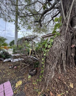 LASOCIAL - BRUNCH & CAFE by null