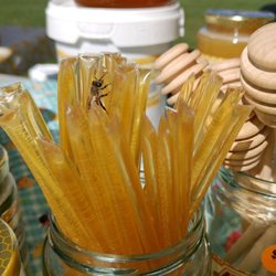 Metro Hall Farmers Market - Staite's Honey honeysticks has a little visitor - 100% Canadian local honey!