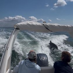 Orca Pro Charters