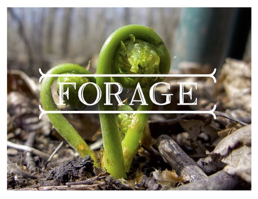 Forage by null