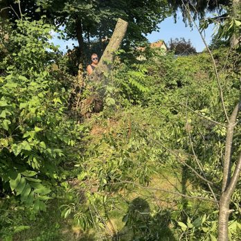 Hawk Tree Service - Tree Services Near Me Hawk Tree Service - Tree Services Near Me