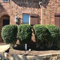 Nortex Tree Service