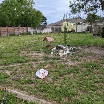 GT Wulf - An acre backyard scooped up after three dogs with many bags of dog poop collected. Took over a hour to make the yard a joy to be in again. - Pet Waste Removal Near Me - Corpus Christi, Texas GT Wulf - An acre backyard scooped up after three dogs with many bags of dog poop collected. Took over a hour to make the yard a joy to be in again. - Pet Waste Removal Near Me - Corpus Christi, Texas