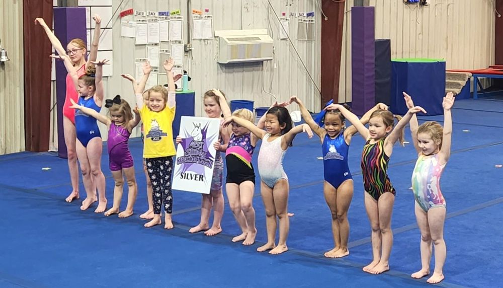 MEKS GYMNASTICS ACADEMY 37 Photos 1735 W 53rd St, Anderson, Indiana