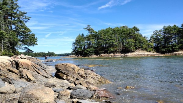 Wolfe's Neck Woods State Park by null