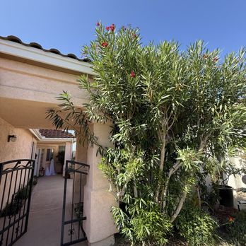 Luis Landscaping Services - Tree Services Near Me Luis Landscaping Services - Tree Services Near Me