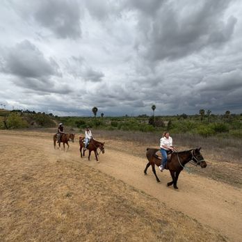 Sunshine and Daydreams - Horseback Riding Near Me - Norco, California Sunshine and Daydreams - Horseback Riding Near Me - Norco, California