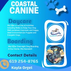 Coastal Canine