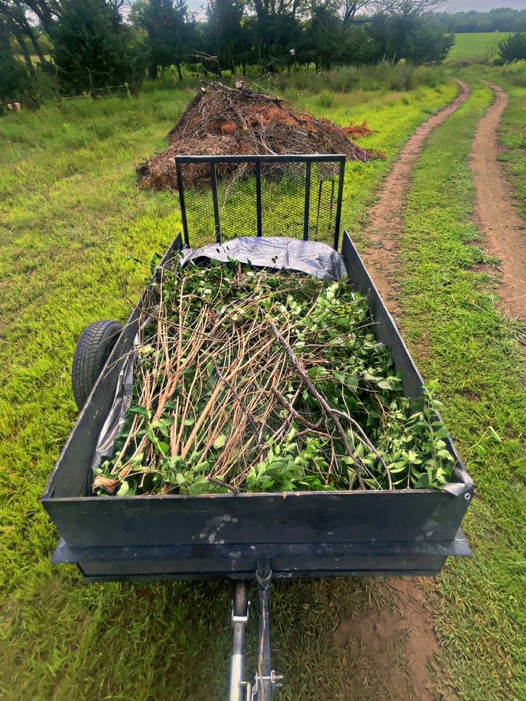 Hunter's Yard Maintenance - tree service in Topeka, KS