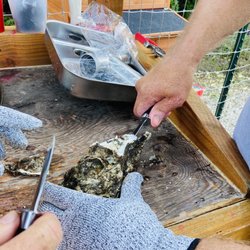 Washington State Seafood