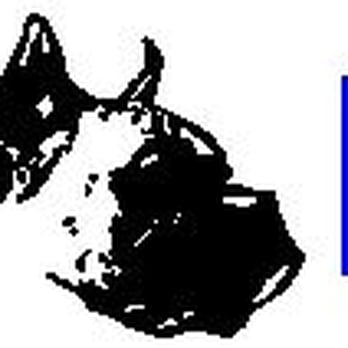 Dent Dogs Inc - Mobile Dent Repair Near Me - Houston, Texas Dent Dogs Inc - Mobile Dent Repair Near Me - Houston, Texas