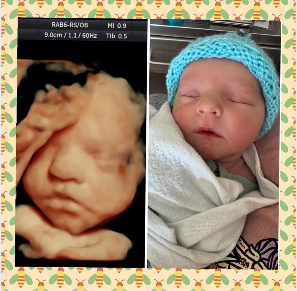 BELLY VISION Updated September 2024 11 Photos & 10 Reviews 7918