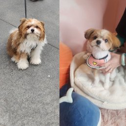 Before and After Before and After