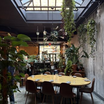 Antidote - Cocktail Bars Near Me - Brooklyn, New York