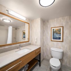 Hampton Inn Warrenton - Guest room bath