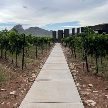Los Milics Vineyards - Grapes - Wine Tasting Room Near Me - Elgin, Arizona