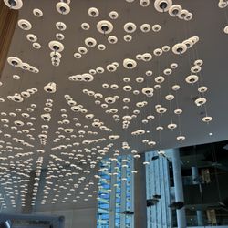 Fancy lighting near the Zen coffee shop - apparently it helps to reduce sound also