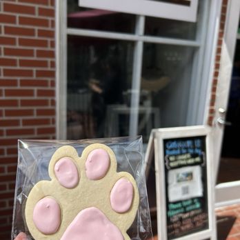 The Cat Cafe - Coffee & Tea Near Me - San Diego, California The Cat Cafe - Coffee & Tea Near Me - San Diego, California