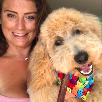 Paw Commons Pet Resort - Encinitas - Riley post haircut from Paw Commons! Thanks Mary! - Pet Sitting Near Me - Encinitas, California Paw Commons Pet Resort - Encinitas - Riley post haircut from Paw Commons! Thanks Mary! - Pet Sitting Near Me - Encinitas, California