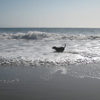 Arroyo Burro Beach - Beaches Near Me - Santa Barbara, California