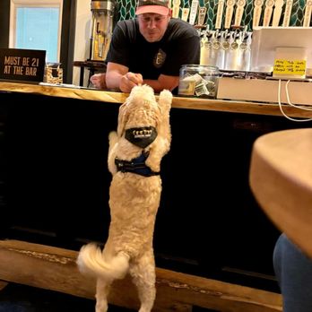E Brewing - dog friendly - Breweries Near Me - South Whitley, Indiana E Brewing - dog friendly - Breweries Near Me - South Whitley, Indiana