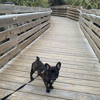 Lakeview Paw Park - My pup really enjoyed this area on our vacation. Plenty of parking and nicely kept! - Dog Parks Near Me - Sarasota, Florida Lakeview Paw Park - My pup really enjoyed this area on our vacation. Plenty of parking and nicely kept! - Dog Parks Near Me - Sarasota, Florida