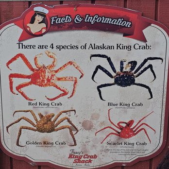 Tracy's King Crab Shack - Seafood Near Me - Juneau, Alaska Tracy's King Crab Shack - Seafood Near Me - Juneau, Alaska