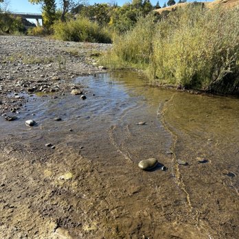 Nimbus Fish Hatchery - Aquariums Near Me - Gold River, California