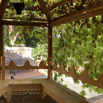 The Old Mill Foundation - View from inside an open dome of leaves - Landmarks & Historical Buildings Near Me - San Marino, California