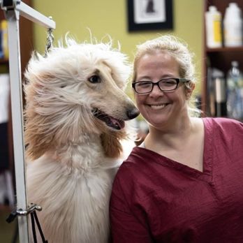 Jackson Groomers - - Pet Groomers Near Me - Jackson, New Jersey Jackson Groomers - - Pet Groomers Near Me - Jackson, New Jersey