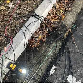Blue Collar Electrical Services - Electricians Near Me