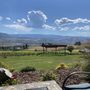 Photo of Bianchi Vineyards