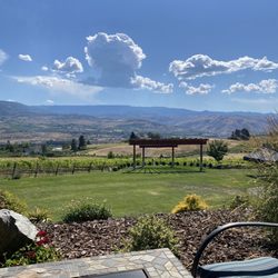 Bianchi Vineyards