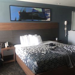 Studio Inn & Suites - When your friend comes into town, try studio Inn and suites