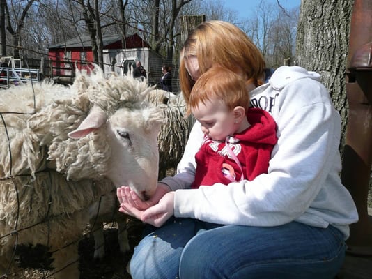 BENNER’S FARM - Updated December 2025 - 55 Photos & 29 Reviews - 56 ...