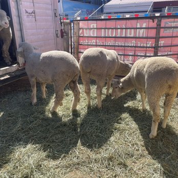 Spokane County Fair & Expo Center - 9/10/23 - Venues & Event Spaces Near Me - Spokane, Washington Spokane County Fair & Expo Center - 9/10/23 - Venues & Event Spaces Near Me - Spokane, Washington