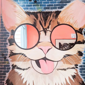 The Caffeinated Cat - Cute bathroom mural - Coffee & Tea Near Me - Jacksonville Beach, Florida
