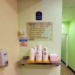 1st Treat Yogurt