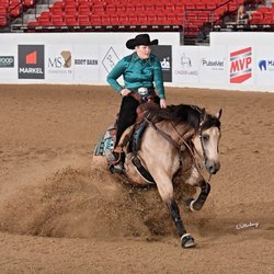 Bein Performance Horses