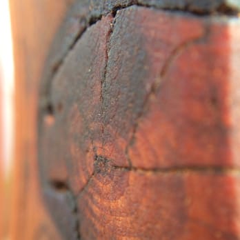 Teak Master - Olloclip macro - Refinishing Services Near Me - South El Monte, California Teak Master - Olloclip macro - Refinishing Services Near Me - South El Monte, California