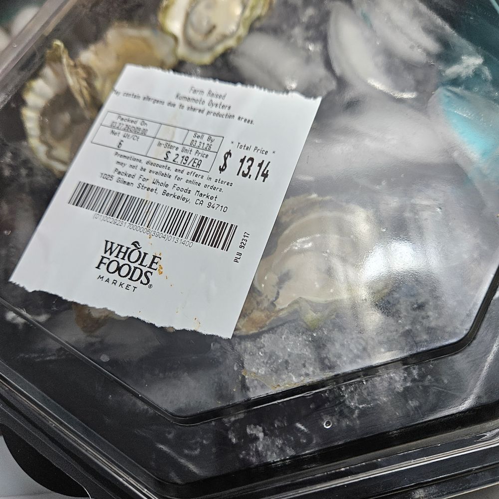 6 oyster shells 6 oyster shells