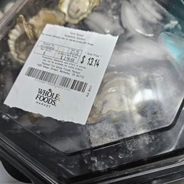 6 oyster shells