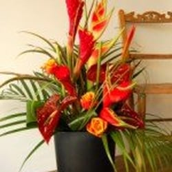 Florian - Photo taken from www.flowers-brighton-hove.co.uk