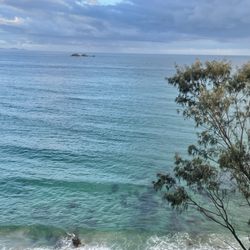 Cape Byron Walk