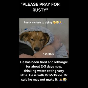 Burnet Veterinary Clinic - Precious baby he was sick - Veterinarians Near Me - Burnet, Texas