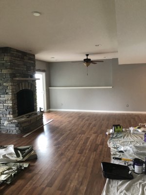 Waconia Interior Painting - This project was done completed after the sale of this home in Waconia. We changed the color schemes and we were also allowed to incorporate some different pigmented enamels which we had a blast with.