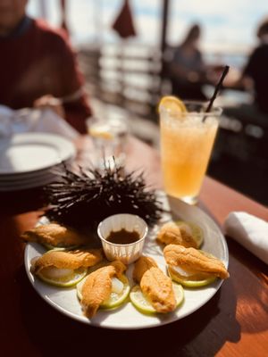Santa Barbara Shellfish Company by null