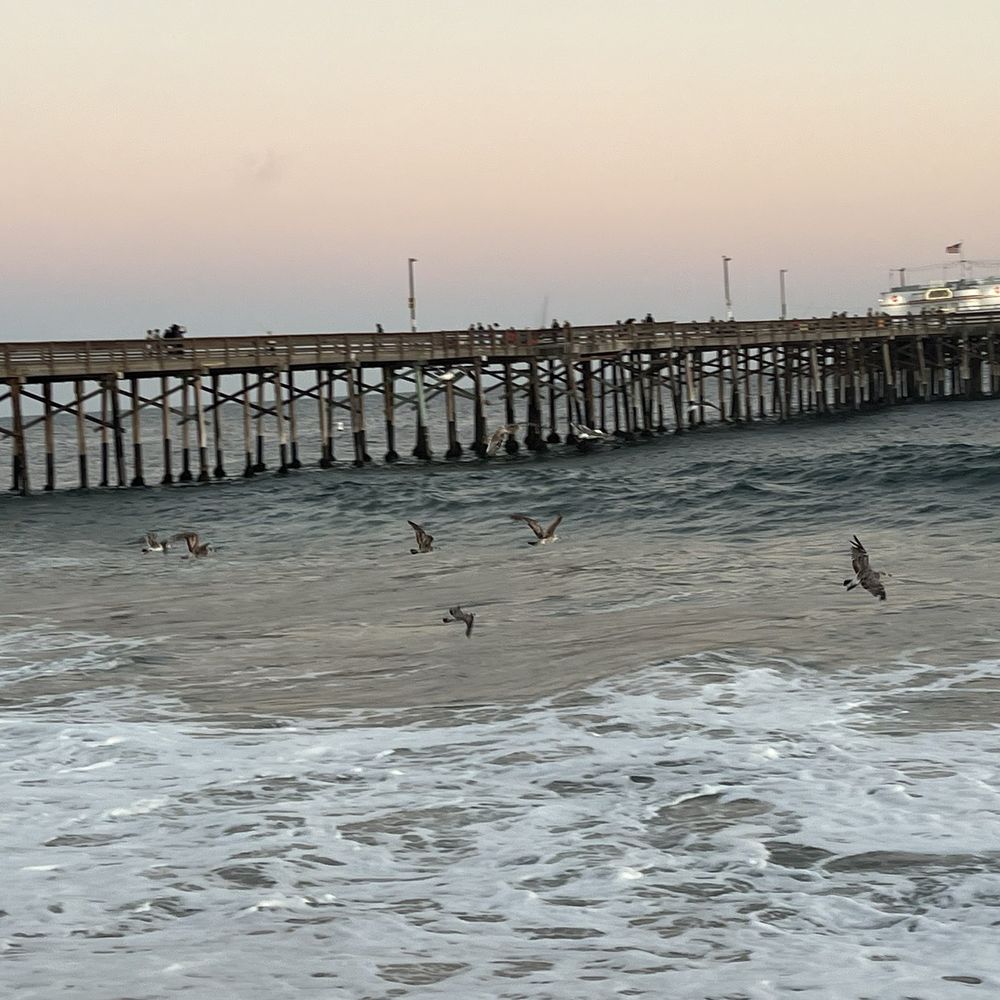 Balboa Pier - Beaches Near Me - Newport Beach, California