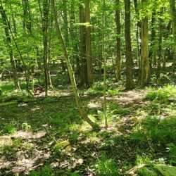 Huckleberry Hill Recreation Area